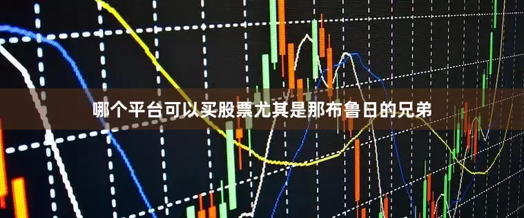 哪个平台可以买股票尤其是那布鲁日的兄弟