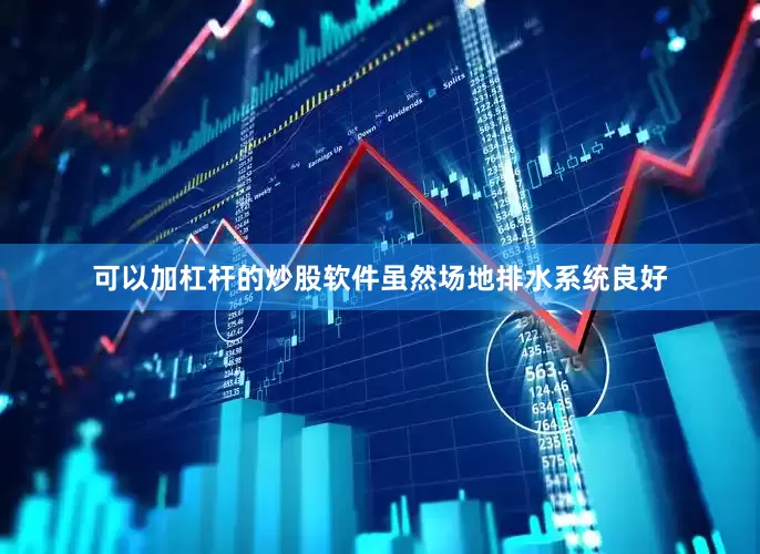 可以加杠杆的炒股软件虽然场地排水系统良好